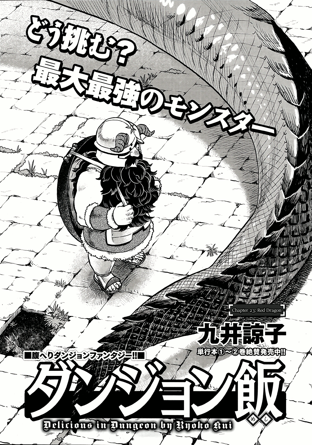 Dungeon Meshi Vol.4-Chapter.23-Red-Dragon Image
